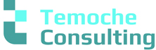 Temoche Consulting - Array Temoche Consulting